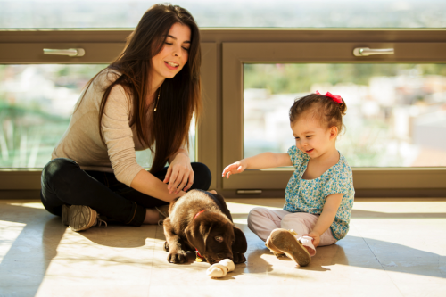 How to Introduce Your Dog to a Newborn (Without the Stress)