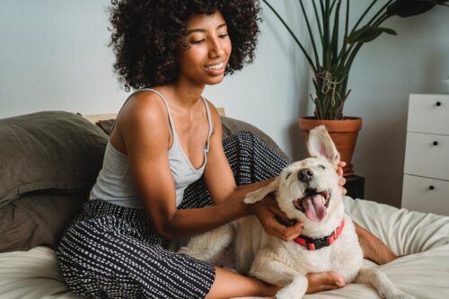 Pawsitive Impact: The Benefits of Pet-Friendly Apartments